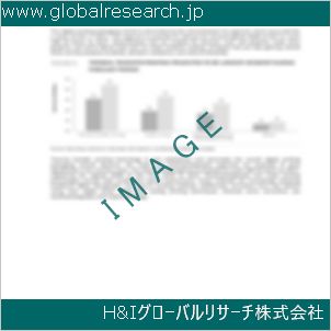 グローバルリサーチ調査資料のイメージ